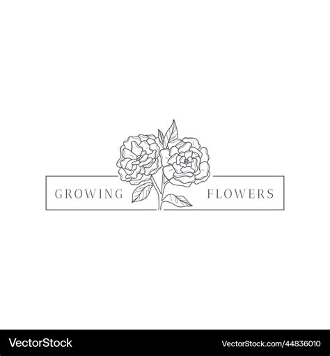 Flower Logo Template Royalty Free Vector Image