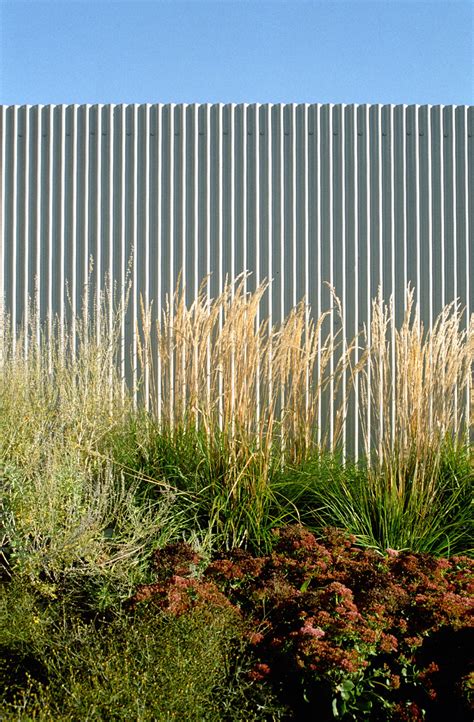 Avalon Bay Urban Housing Landscape by Todd Rader + Amy Crews