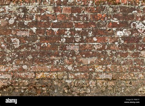 Stock Walls And Textures Stock Photo Alamy