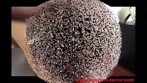 Free Terror Porn Videos XHamster