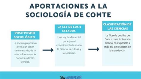 Descubre Los Tipos De Sociolog A Y Su Importancia