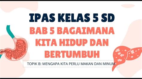 IPAS Kelas 5 SD Bab 5 Bagaimana Kita Hidup Dan Bertumbuh Topik B