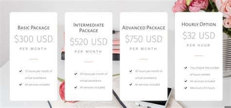 Virtual Assistant Pricing: Hourly vs. Packages | The Virtual Savvy