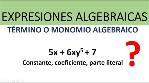 Expresión algebraica Término o monomio algebraico ejemplos YouTube