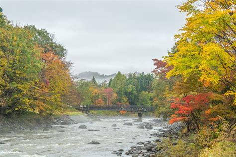 Autumn river scenery stock image. Image of green, autumn - 108736577