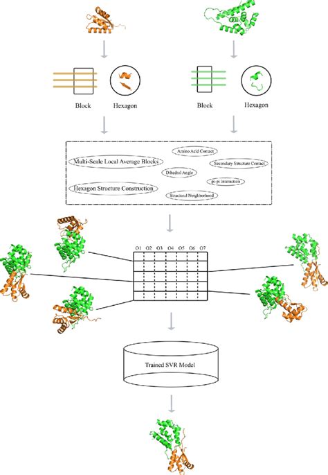 The Flowchart Of Our Method For Identifying Protein Protein Interface Download Scientific Diagram