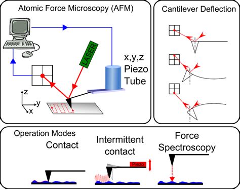 AFM Cellular And Molecular Biomechanics Laboratory