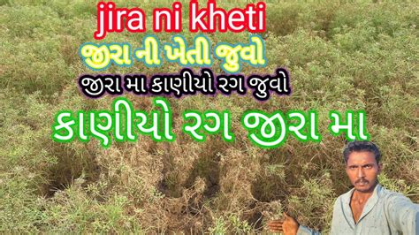 Jira Ni Kheti