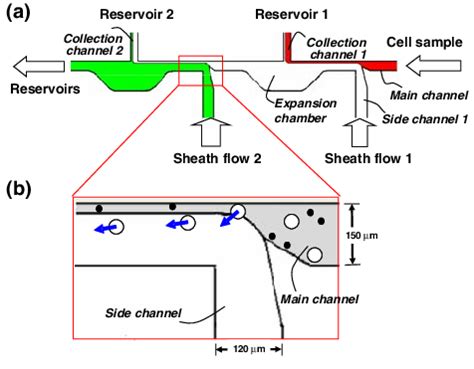 a Schematic diagram of the working principle for the proposed cell... | Download Scientific Diagram