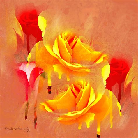 "Painted Roses Abstract" by WiredMarys | Redbubble