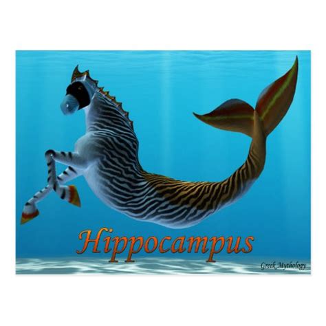 Greek Mythology Postcards: Hippocampus Postcard | Zazzle