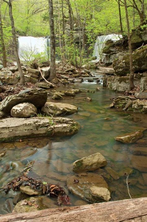 Ozark–Saint Francis National Forest | US Wilderness, Wildlife & Recreation | Britannica