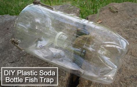 DIY Plastic Soda Bottle Fish Trap Survival Prepping Survival Skills