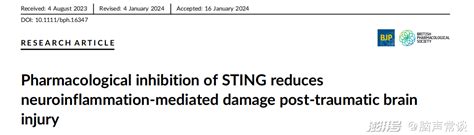 墨尔本大学团队发现靶向sting治疗创伤性脑损伤澎湃号·湃客澎湃新闻 The Paper