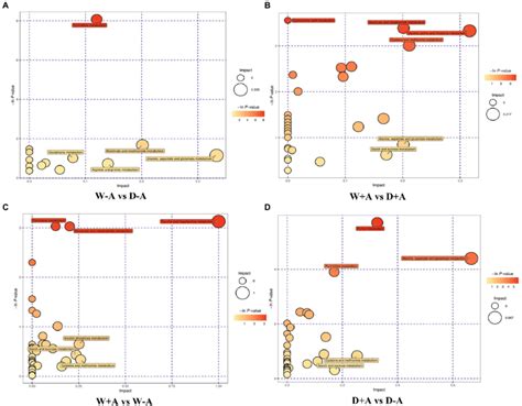 Bubble Chart Of Pathway Analysis Of Different Metabolites In