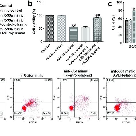 Mir 30a Suppressed Decidua Mscs Dmscs Proliferation Induced Cell