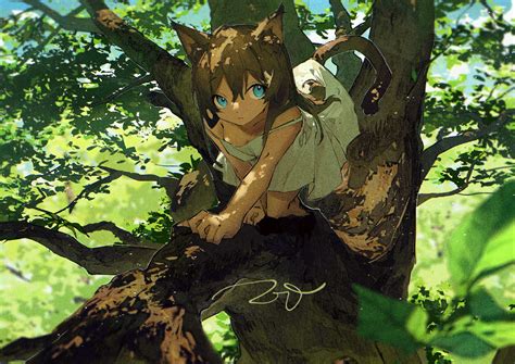 Wallpaper Anime Girls Cat Girl Nature Tree Bark Dress 1433x1013 2ffe242s 2272358 Hd