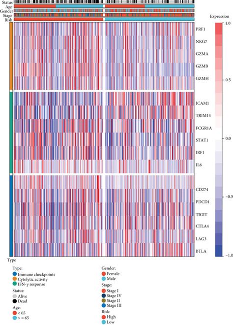 Implication Of The Cuproptosis Relevant Lncrna Signature In