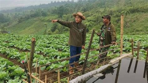 Petani Milenial Dengan Smart Farming Hasil Panen Bisa Dua Kali Lipat