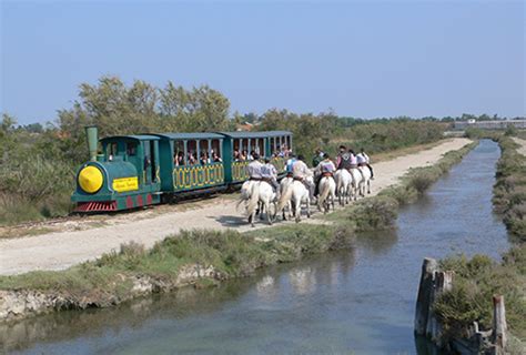 Domaine de Méjanes