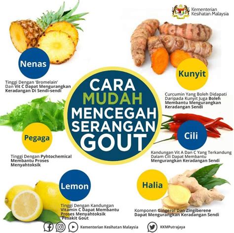 Kalau Nak Cegah Serangan Gout Inilah 6 Makanan Yang Perlu Diamalkan