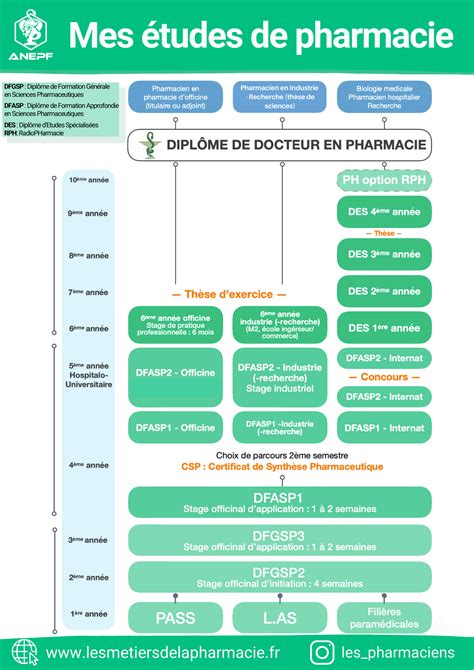 LE CURSUS Anepf