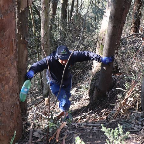 En Los Cerros De Ch A Se Recogieron M S De Toneladas De Basura Para