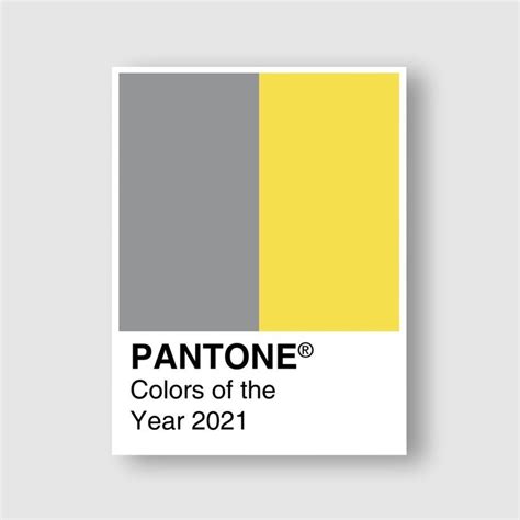 Grey Colour Pantone 70 Photo