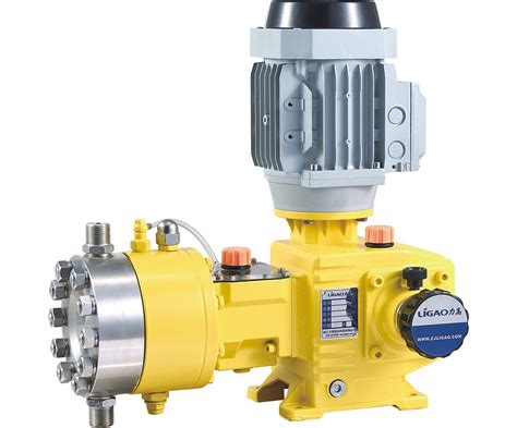 China Metering Pump Manufacturer Rotary Lobe Pump Air Diaphragm Pump