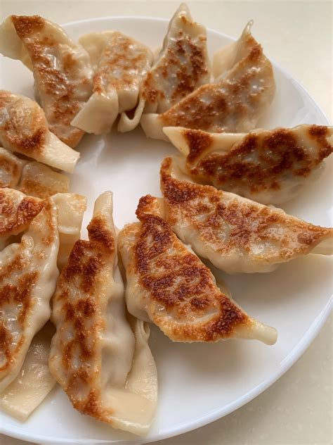 Homemade Japanese Pork Gyoza Rfood