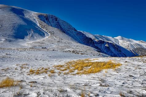 1920x1080 Wallpaper Brown Grass Peakpx