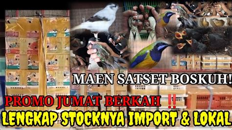 JUMAT BERKAH STOCKNYA FULL BELI ECER HARGA GROSIR 0838 7553 6945