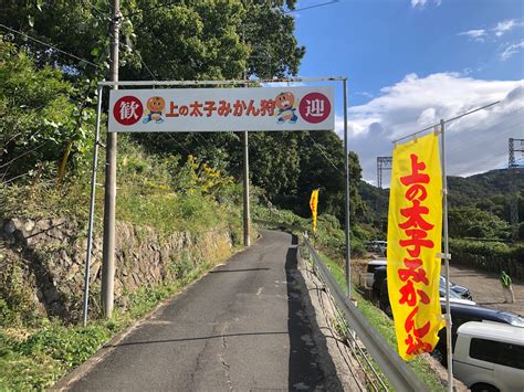 初のみかん狩り「上の太子 観光みかん園」が最高！ なかふぁみとエブリイワゴン