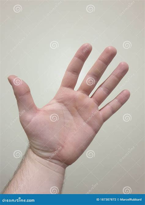 Hand Body Anatomy Relaxed Fingers Stock Photo - Image of relaxed, hair ...