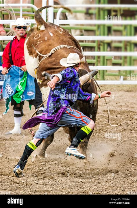 Rodeo clowns, bull riding competition, Chaffee County Fair & Rodeo ...