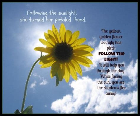 Sunflower Poem And Picture Art Uplifting Quotes Sunflower Poem Poems