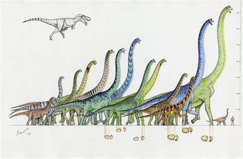 argentinosaurus | Afterwards, I made several shrunken photocopies of ...