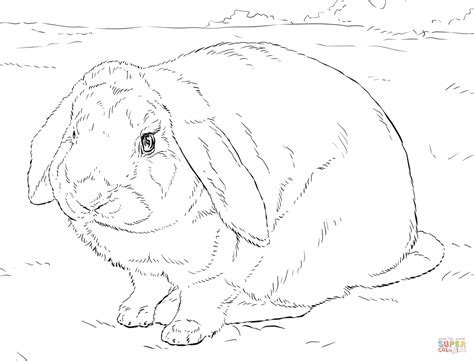 Rabbit coloring page | Free Printable Coloring Pages