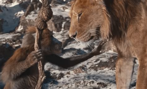 Disney lanza el primer tráiler de Mufasa El Rey León El Sur Acapulco