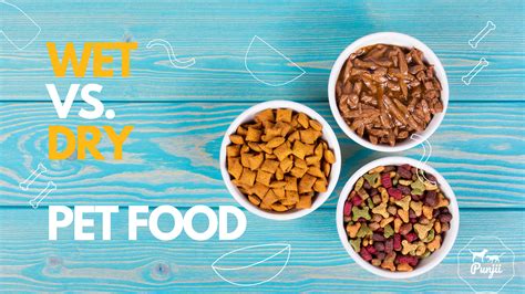 Wet Versus Dry Pet Food How Do You Decide