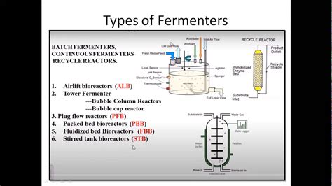 Types Of Fermenters Youtube