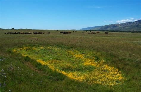 Unit I Rangeland Ecology