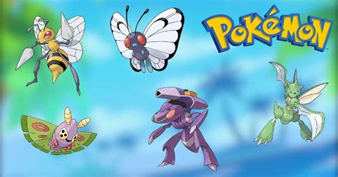 Bug Pokemon: Trainer's Field Guide