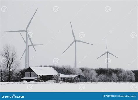 Windy Winter Stock Photo Image Of Lovely Beautiful 76572928