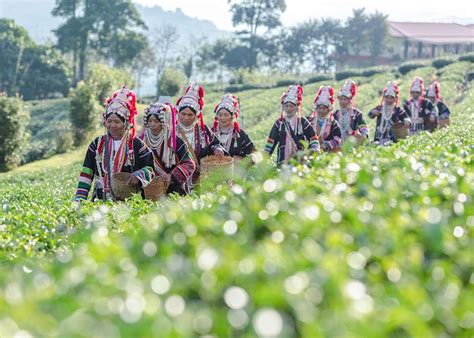 Visit The Golden Triangle On A Trip To Thailand Audley Travel Uk