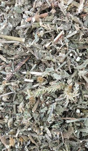 Achyranthes Aspera Linn Brown Dried Apamarga Panchang Packaging Type