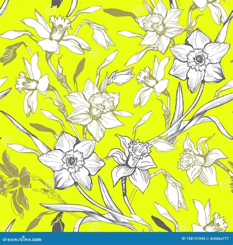 Narcissus Daffodils Spring Floral Border Frame Vector Illustration