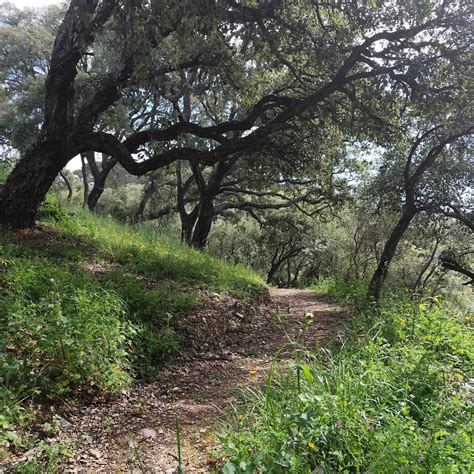 Kirsty Wells Yoga & Fitness... - Kirsty Wells Yoga & Fitness