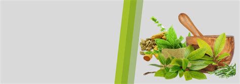 Naturopathy Treatment Naturopathic Doctors In India Medintu