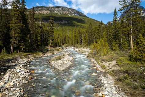 Small Creek in the Rocky Mountains of Canada Stock Photo - Image of